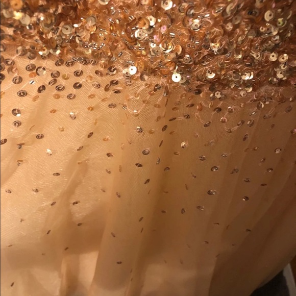 Jovani Gold Crystal Mesh Prom Dress – Size 2 - Picture 4 of 5